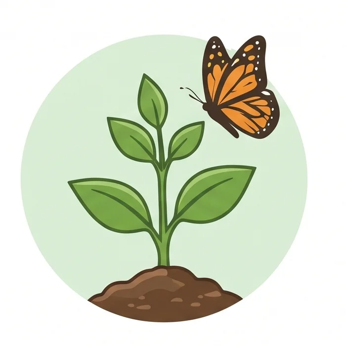 A young seedling with a monarch butterfly approaching