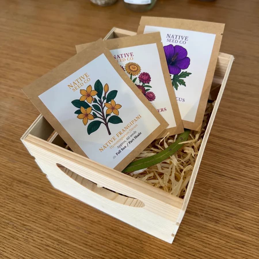The Starter Kit's three seed packets in a timber crate