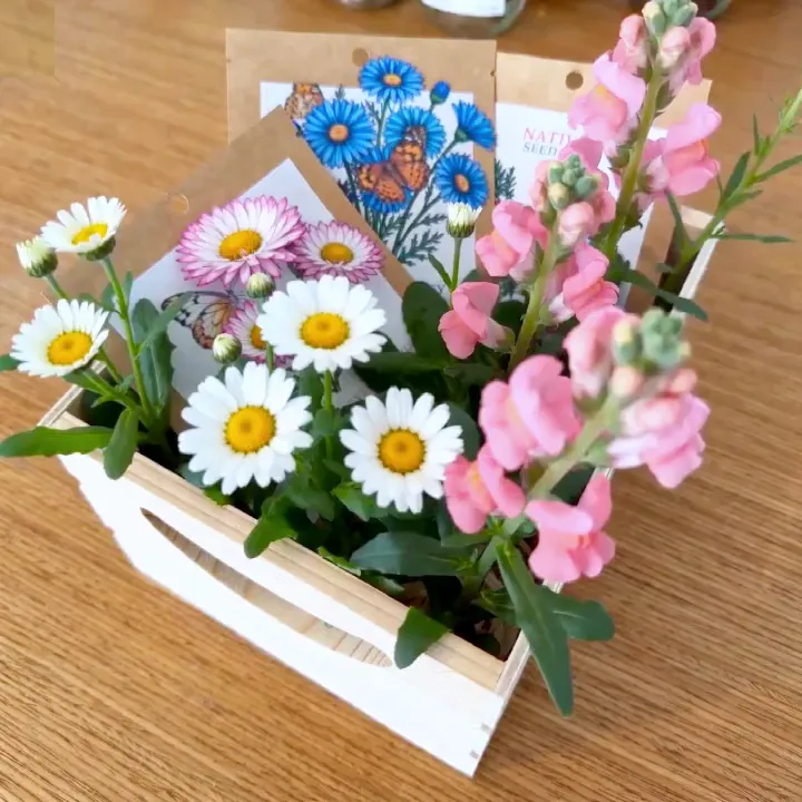 The three Butterfly Bundle seed packets in a timber crate on a table, grown into a crate of flowers